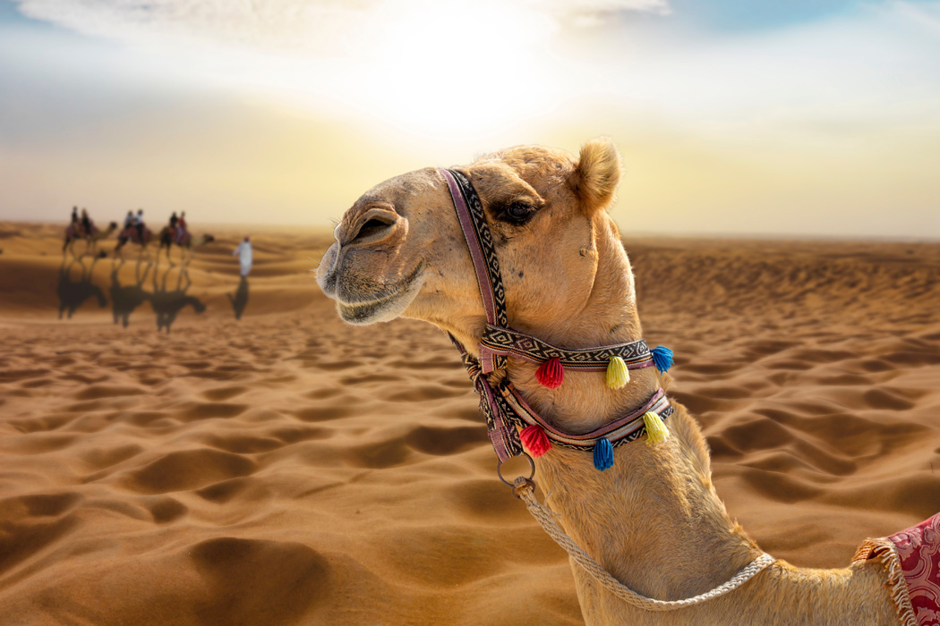 Dubai Turları